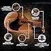 Rightpunch Premium Cowhide Leather Brown Boxing Gloves| Training Boxing Gloves Men & Women | Ideal for Sports & Muay Thai|12OZ