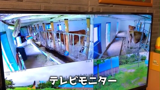 Amazon.co.jp: 【最新500万画素】 防犯カメラ 屋外 POE給電 3K 12型