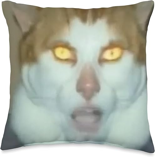 Monday Left Me Broken Cat - Almohada (16 x 16 pulgadas), multicolor