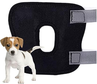 Amazon 犬用関節プロテクター 犬用膝サポーター 足が短い犬に適用 舐め防止 関節保護 黒 Anjing 術後ウェア 通販