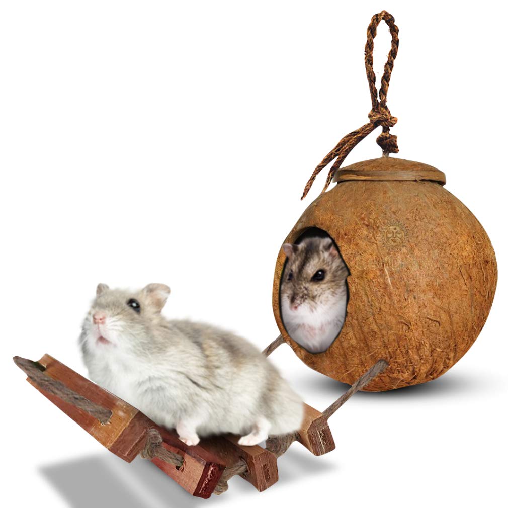 SunGrow Hamster House with Ladder, 5.1-inches (Shell Diameter) 2.4-inches (Opening Diameter), Nesting Home and Feeder, Raw Coconut Husk, Durable Habitat with Hanging Loop