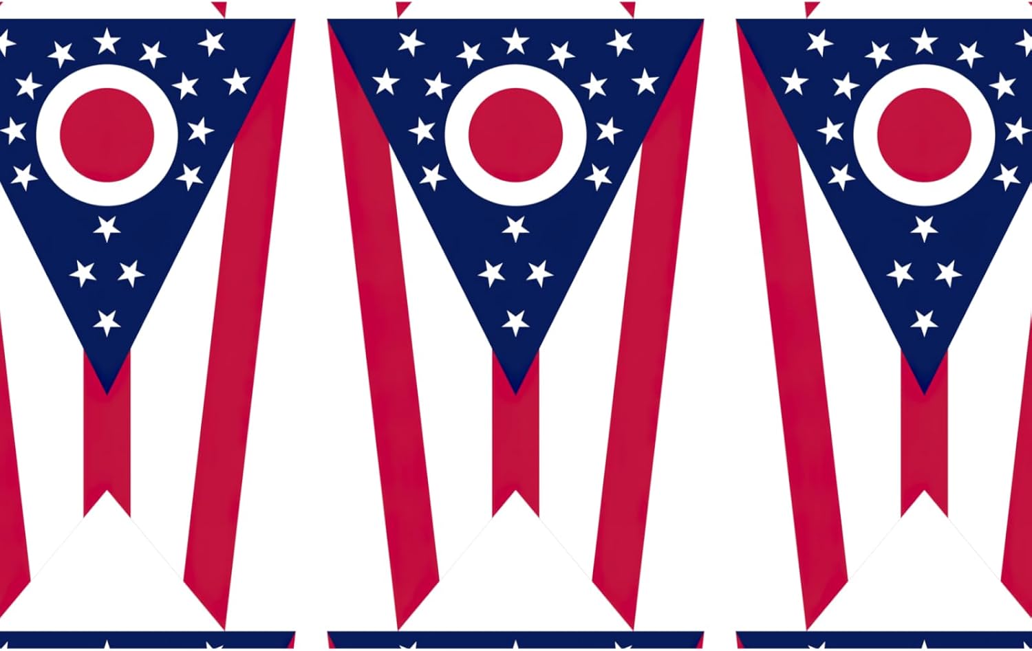 Ohio State Flag print Backpack Travel Backpacks for Women Men College Backpack Computer Bag for Travel