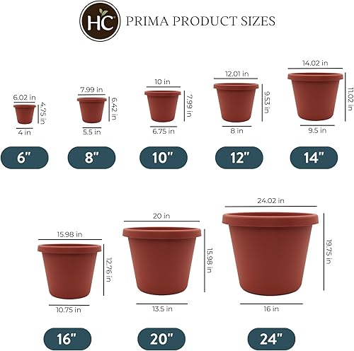 Miniatura 4 de The HC Companies Maceta redonda Prima de 8 pulgadas, maceta pequeña de plástico con borde enrollado para plantas de interior y exterior, flores,