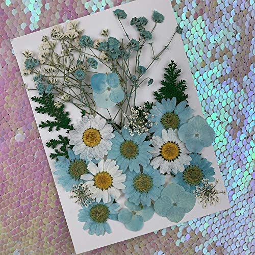 2 Stuks Gedroogde Bloem Materiaal Pakket, Gemengde Organische Natuurlijke Gedroogde Bloemen, Geperste Bloem, voor Hars… - Afbeelding 6