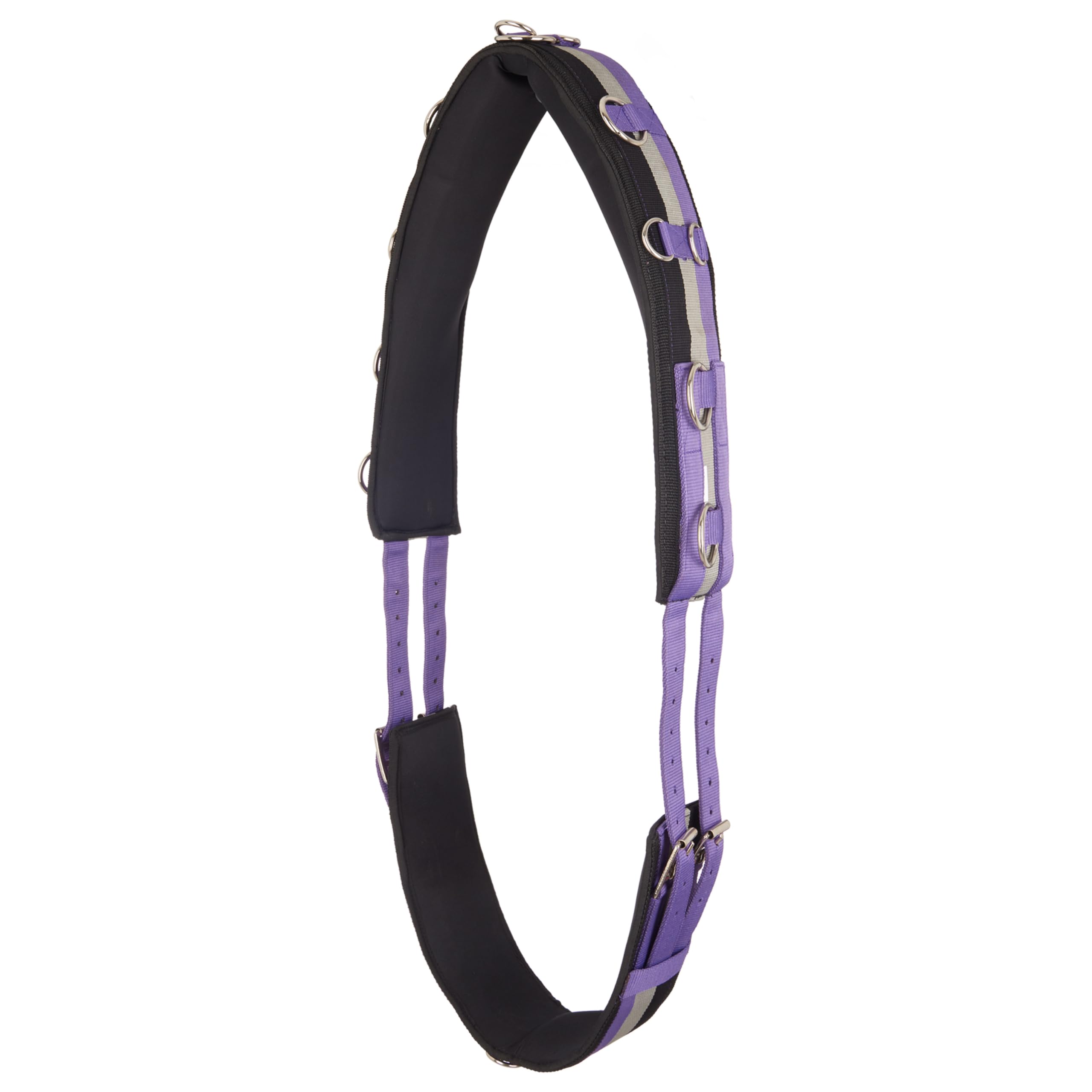 Imperial Riding Laisse « IRH Deluxe » en Polyester avec Doublure en néoprène et Anneaux en métal, Violet Roi, COB