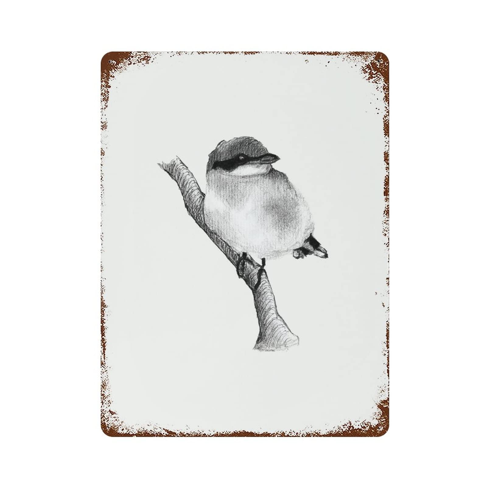 Kwqdozf As Pic Vintage Metal Tin Sign Black Bird Wall Art For Home Kitchen, 8X12 Inch