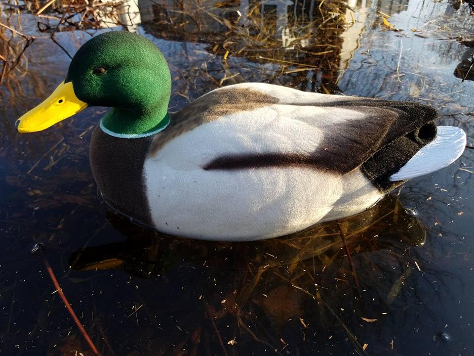 Drake Mallard Full Body Flocking Kit