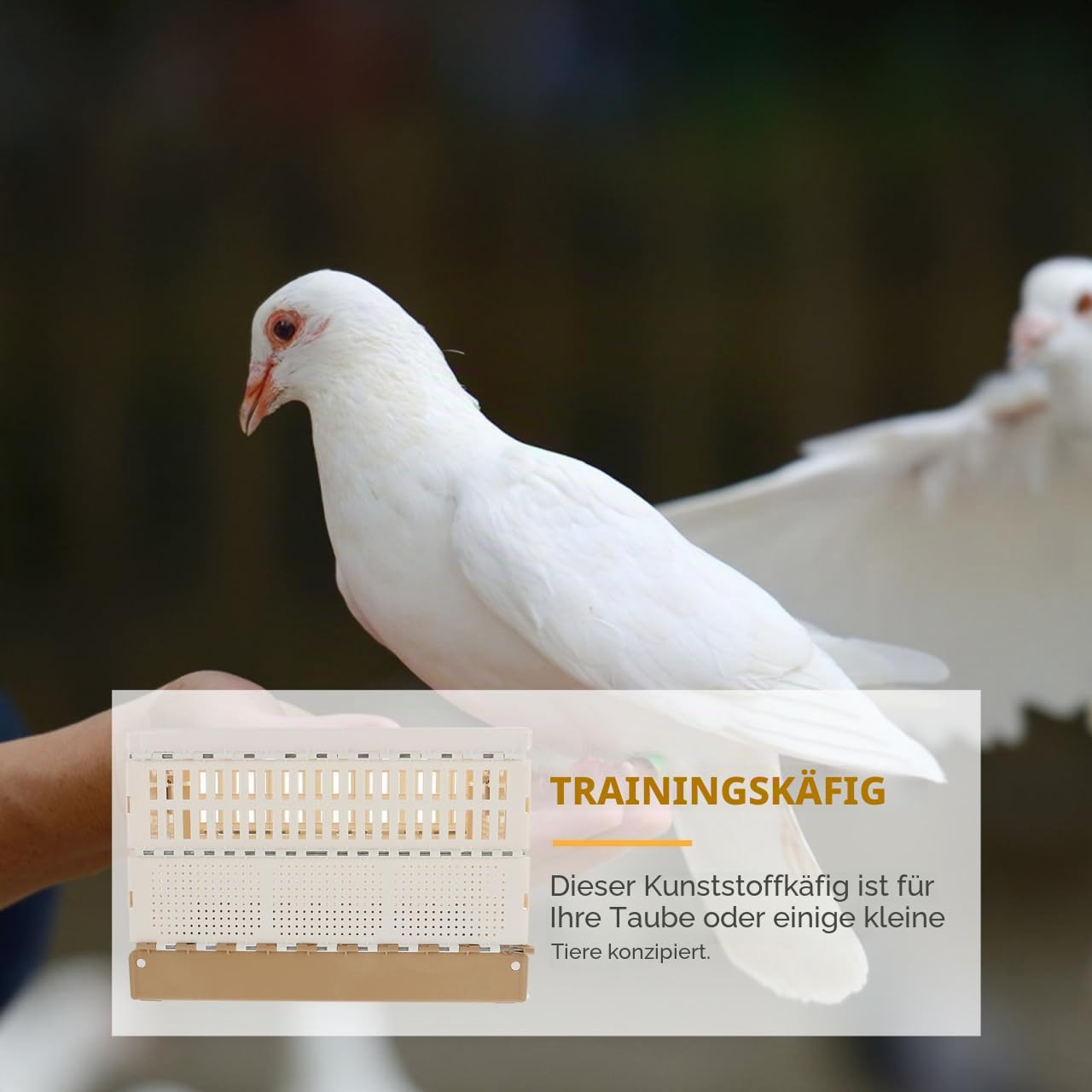 Faltbarer Taubenkäfig Aus Kunststoff Domestikationskäfig Für Tauben Leichter Transportkäfig Mit Herausnehmbarem Boden Sicherer Verschluss Für Taubentraining Und Reisen