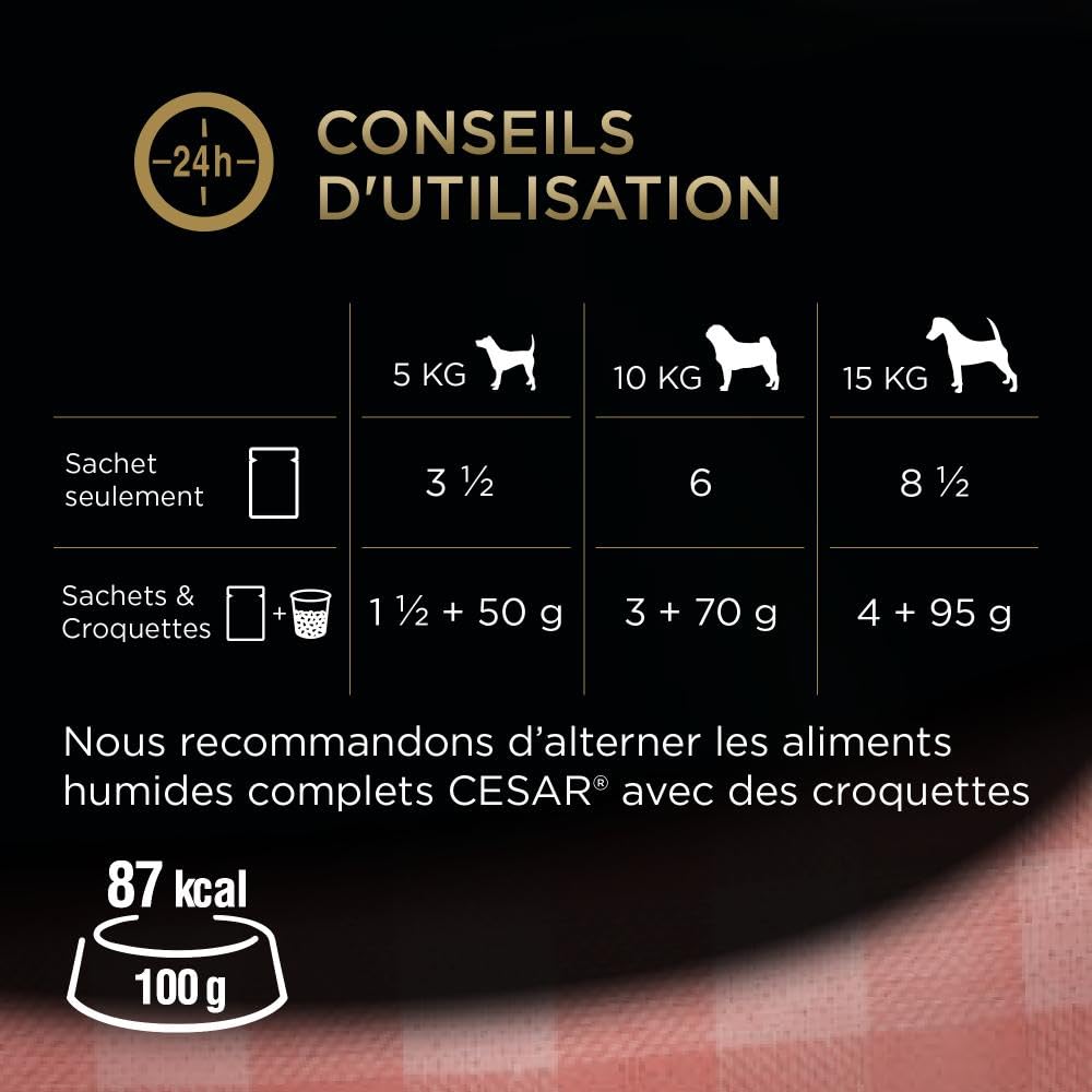 CESAR Repas pour Chien - 48 Sachets Fraîcheur (Lot de 4 Packs 12x100g) - Pâtée pour Chien en Sauce - Boeuf/Poulet/Agneau/Dinde - Nourriture Complète & Equilibrée avec des Ingrédients Naturels