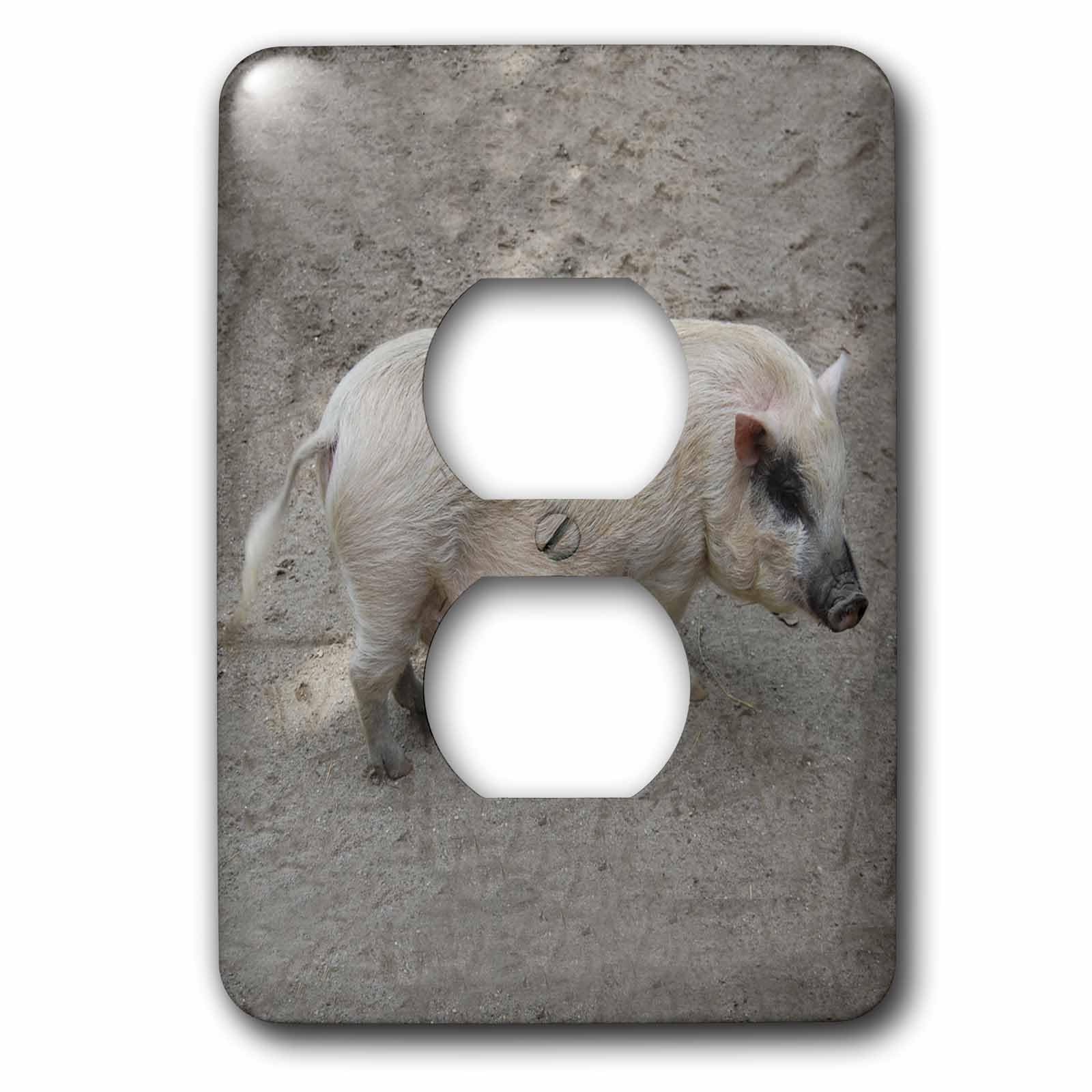 Cochon 2 prises lsp_4326_6 pour remplacer vos plaques blanches unies