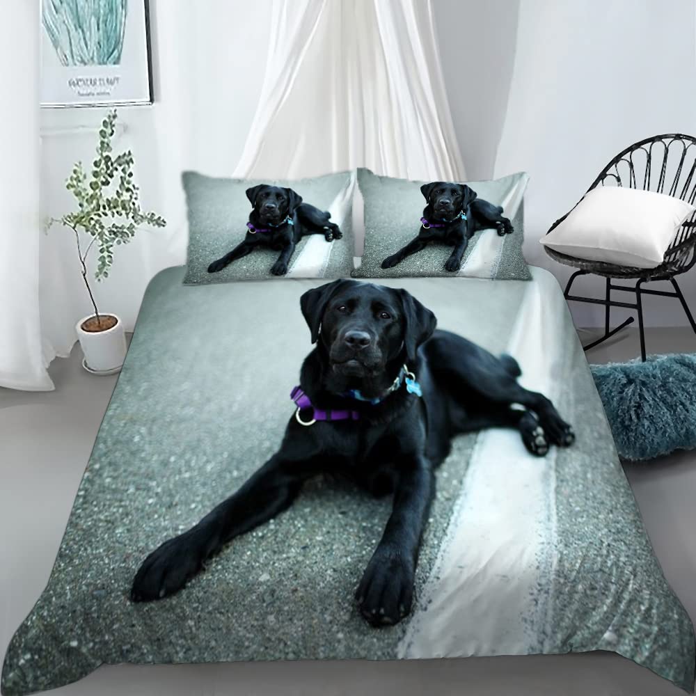 ZHOUJIELUN King Size Duvet Cover Set Black Labrador Bedding for Aldult with Zipper Closure Breathable Anti-Allergic Microfiber Duvet Cover + 2 Matching Pillowcases 50x75 cm(19.7 x 29.5 inch) - King