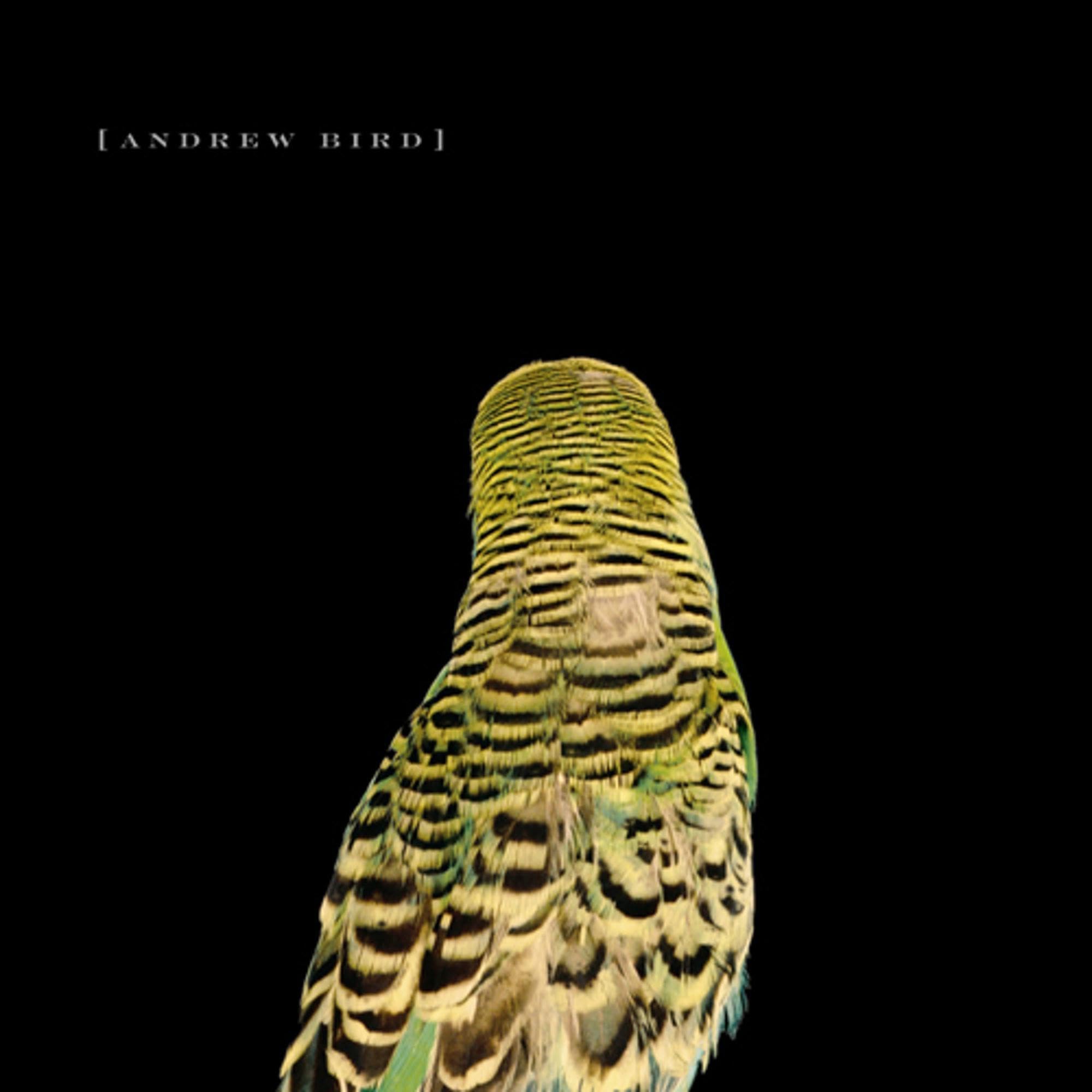 Armchair Apocrypha [Audio CD] Bird, Andrew