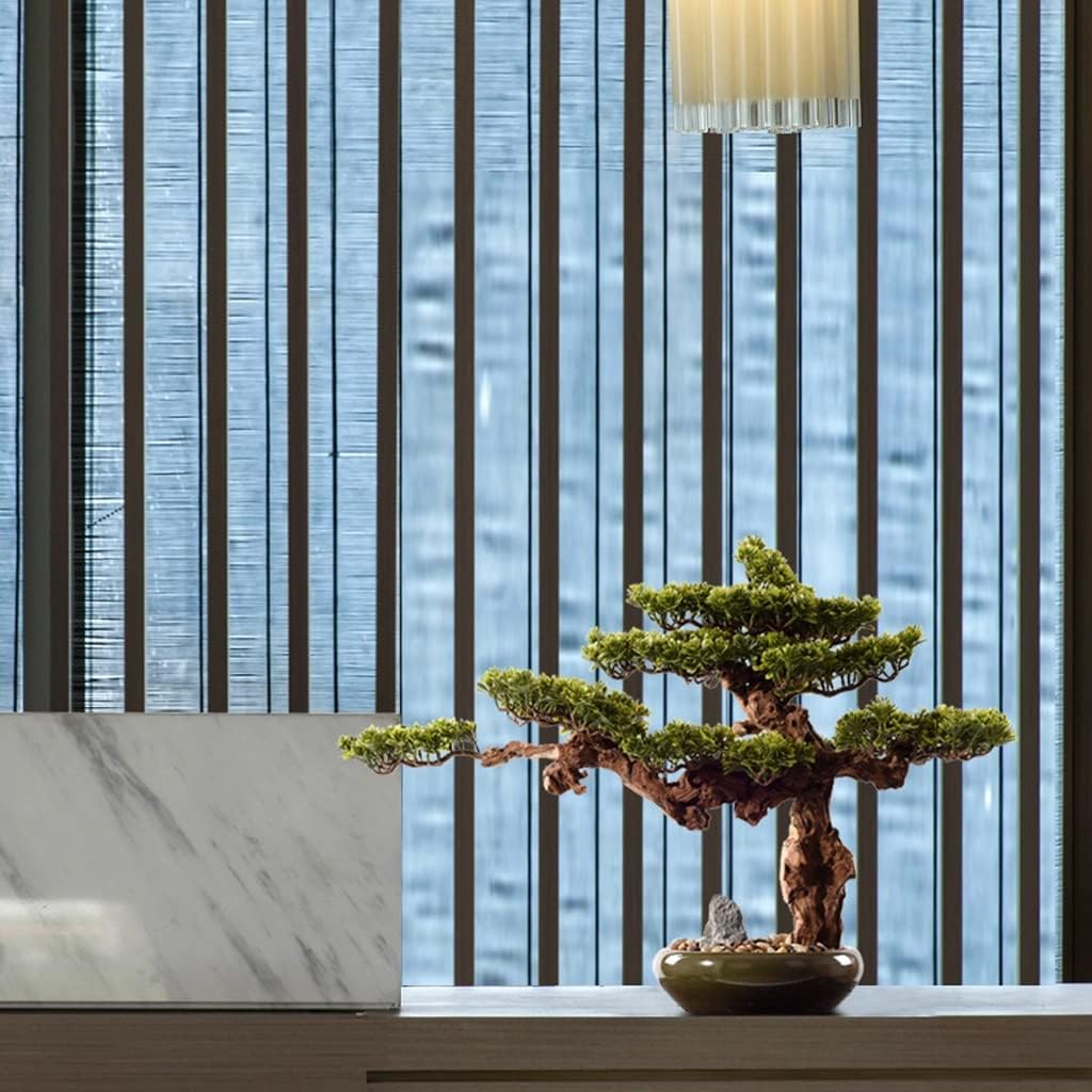 サザンカ 山茶花 盆栽 11号陶器鉢 幹太 モンステラ 椿 ツバキ サザンカ