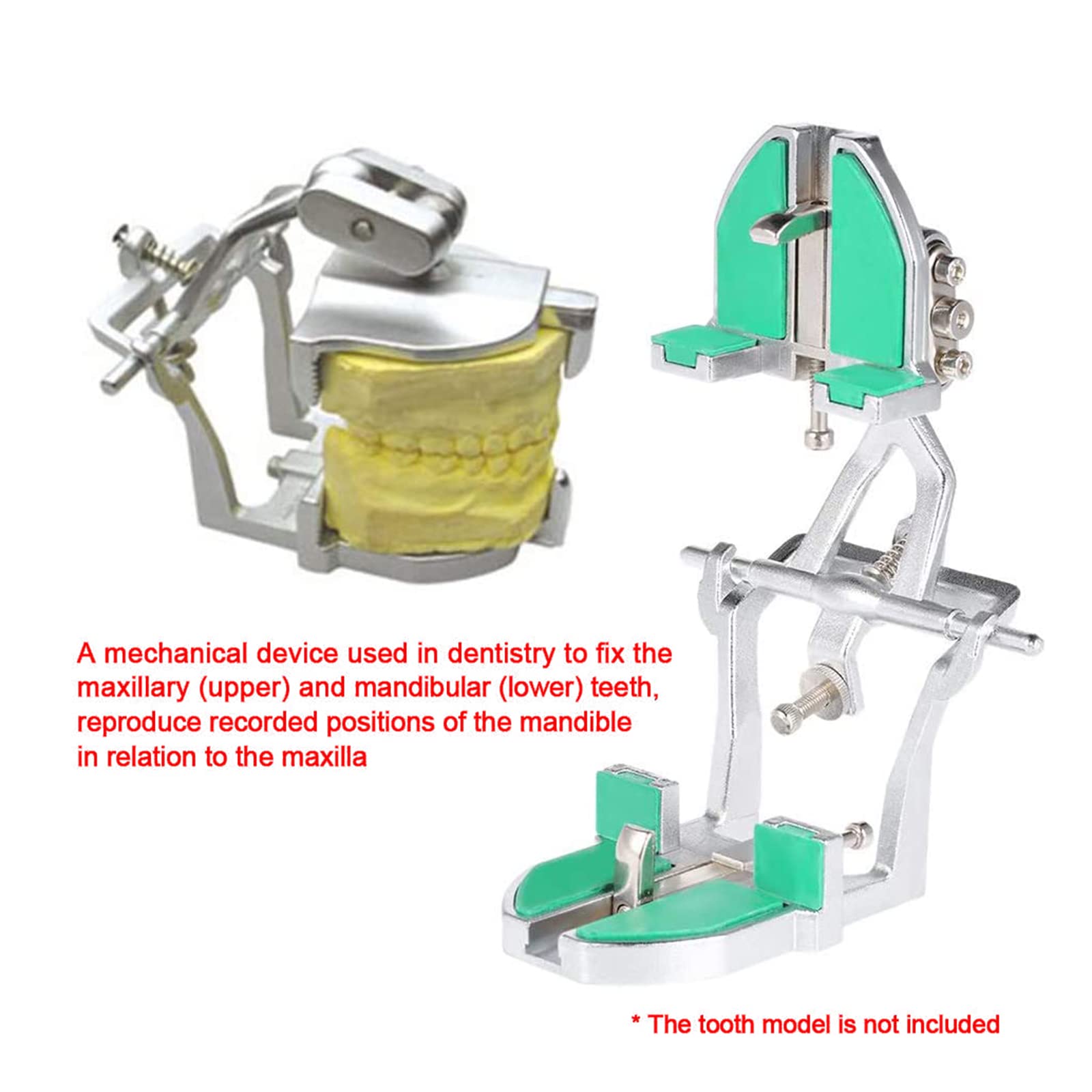 Dental Lab Halb Verstellbarer Artikulator - Universal Prothese Artikulator - 3 Einstellbare Typ 2 Dental Artikulator für Prothesenpflaster Modell, mit Schraubendreher (Grün)