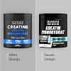 Bandini Creatine Monohydrate 300 g 88 Servings 3000 mg Ultra Pure Micronised Creatine Powder per Dose Microfine Perfectly Soluble Tasteless Halal & Mesh Factor 200 300 g Powder