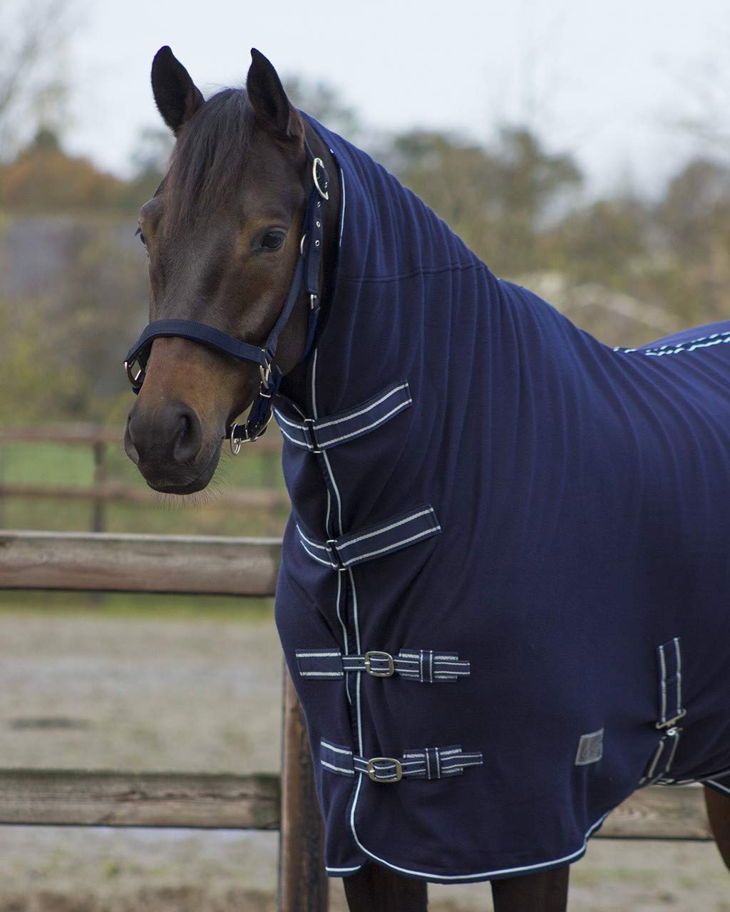 QHP coperta in pile per cavallo con parte per il collo e cinghie, blu