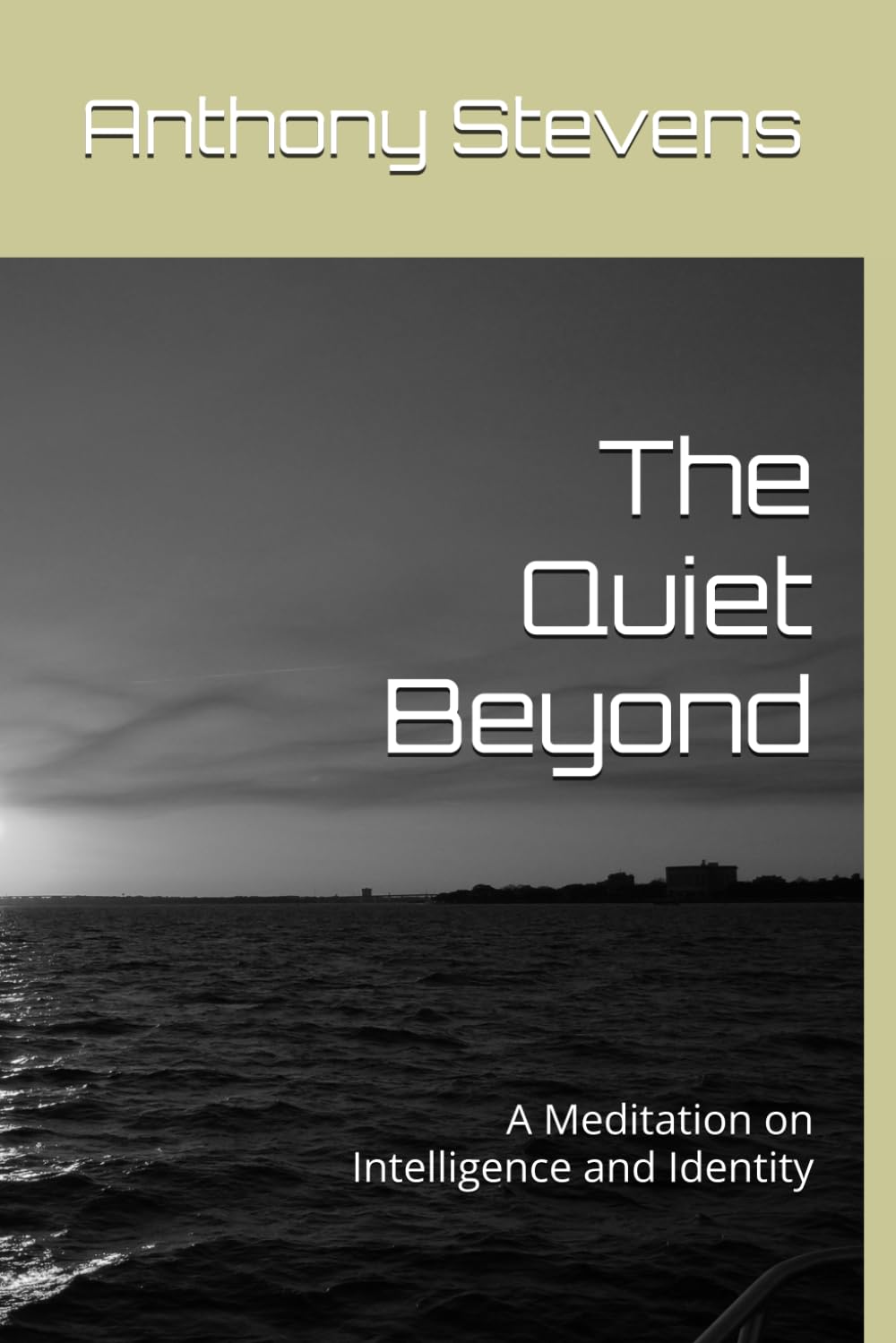 The Quiet Beyond: A Meditation on Intelligence and Identity
