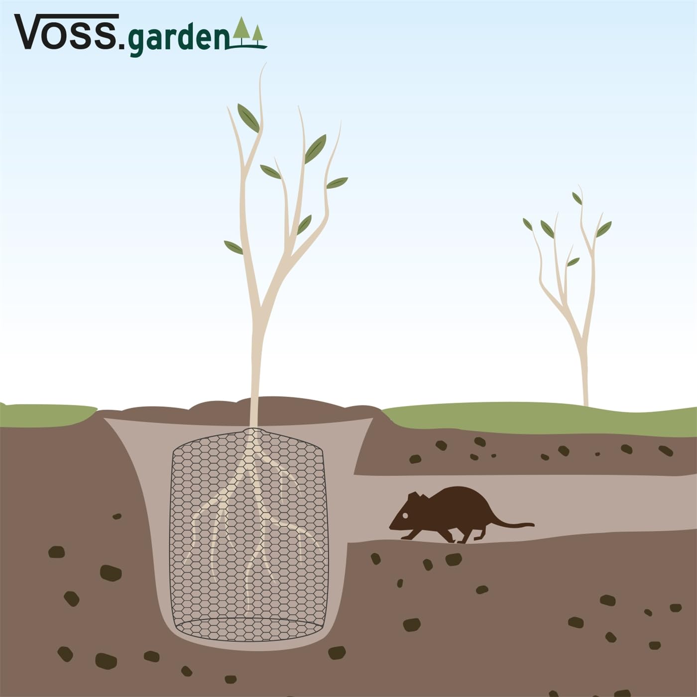 VOSS.garden 10x Wühlmauskorb Ø 60cm Höhe 70cm verzinkt, Schutzkorb gegen Wurzelverbiss