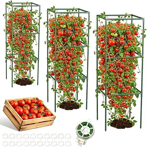 Tomato Plant Support Frame 3 Pack Tomato Cages for Garden 105cm 41.5in Tomatoes Cages with Clips Tomato Trellis for Climbing Plants Support Tomatoes Support Frame for Garden Outdoor Indoor Plants