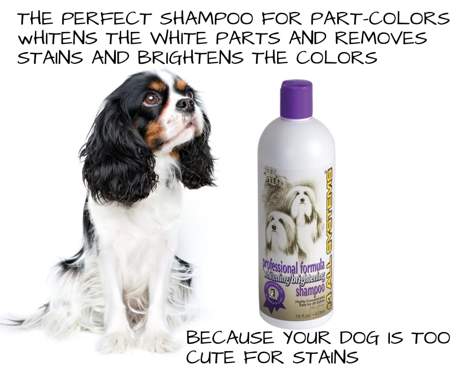 #1 All Systems Professional Grooming Kit for Cavalier King Charles Spaniel, Shampoo, Conditioner, Fabulous Grooming Spray, Brush, Comb