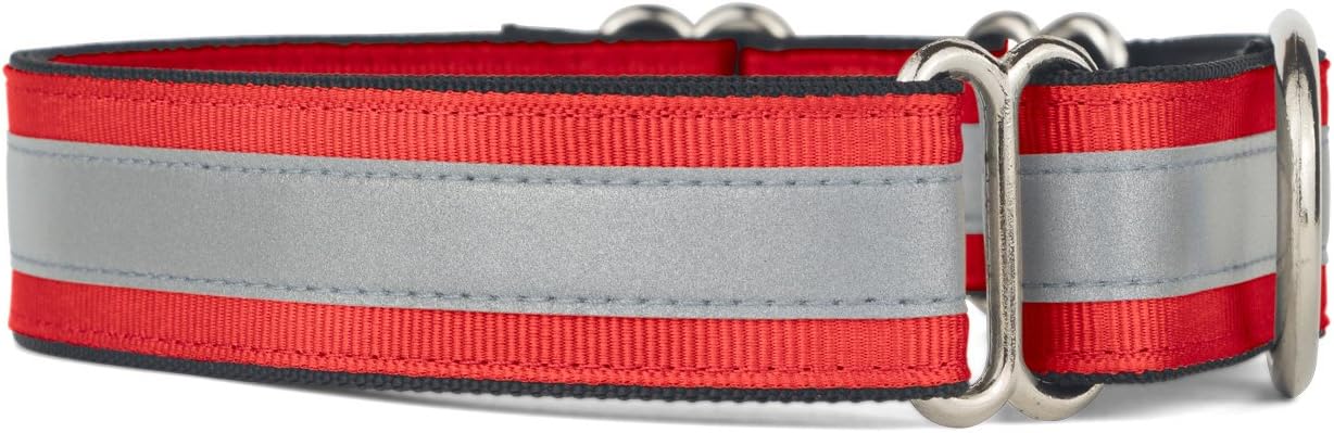 If It Barks 1" Reflective Martingale Collar for Dogs, Adjustable, Made in USA, Large, Red