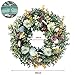 LOKEISNA 19” Eucalyptus Wreath, White Pumpkin Door Wreaths for Front Door Outside & Inside, Green Wreaths for Front Door Wreaths for All Seasons, Artificial Front Door Wreath for Autumn,Thanksgiving