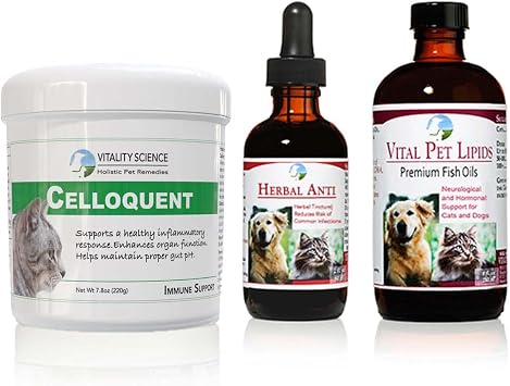 Vitality Science Advanced Immune Restoration Supplements for Cats | Intense Regeneration Protocol | Helps with Pain Relief Large