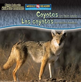 Coyotes Are Night Animals