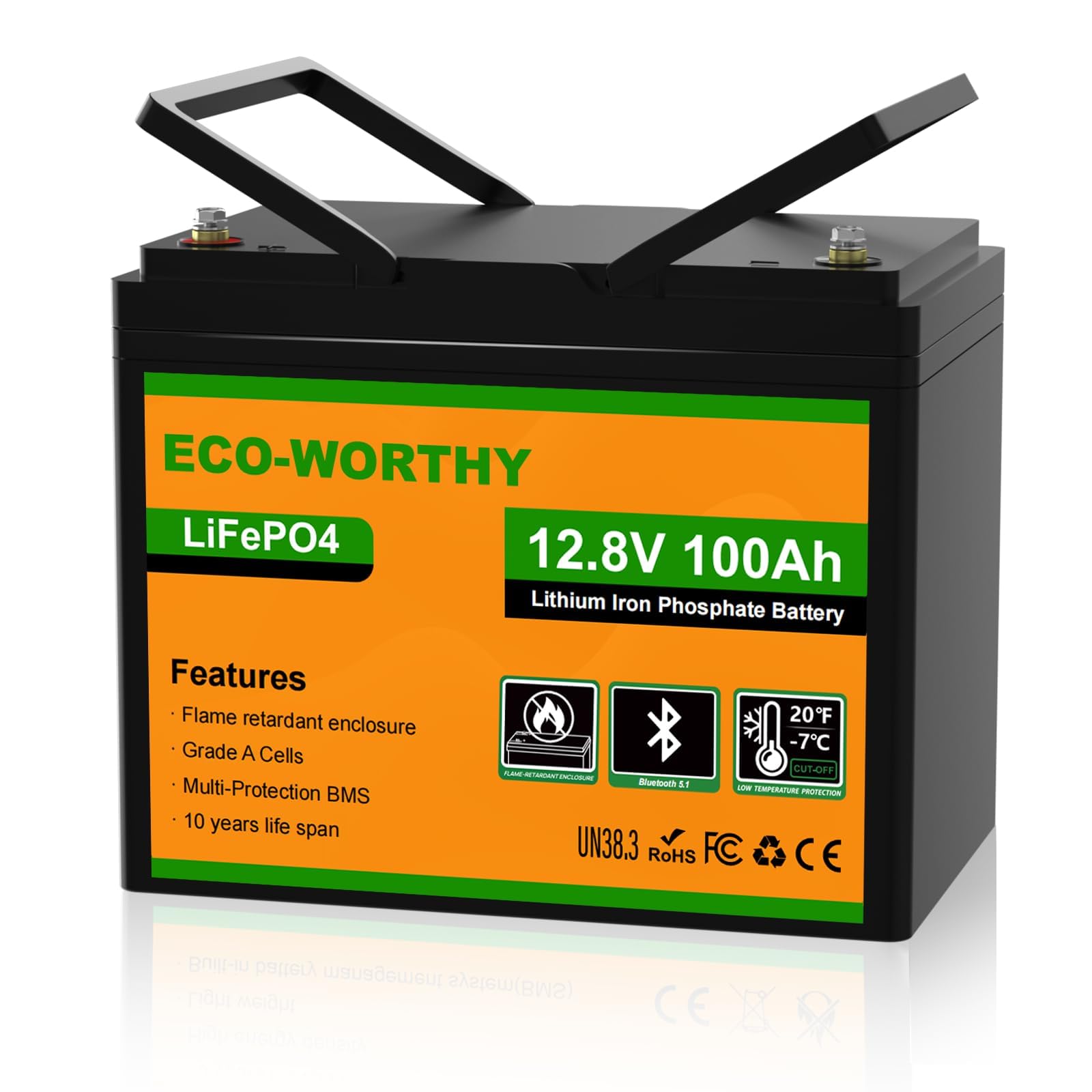 ECO-WORTHY 12V 100Ah LiFePO4 Lithium Battery Bluetooth &Low-Temp Protection