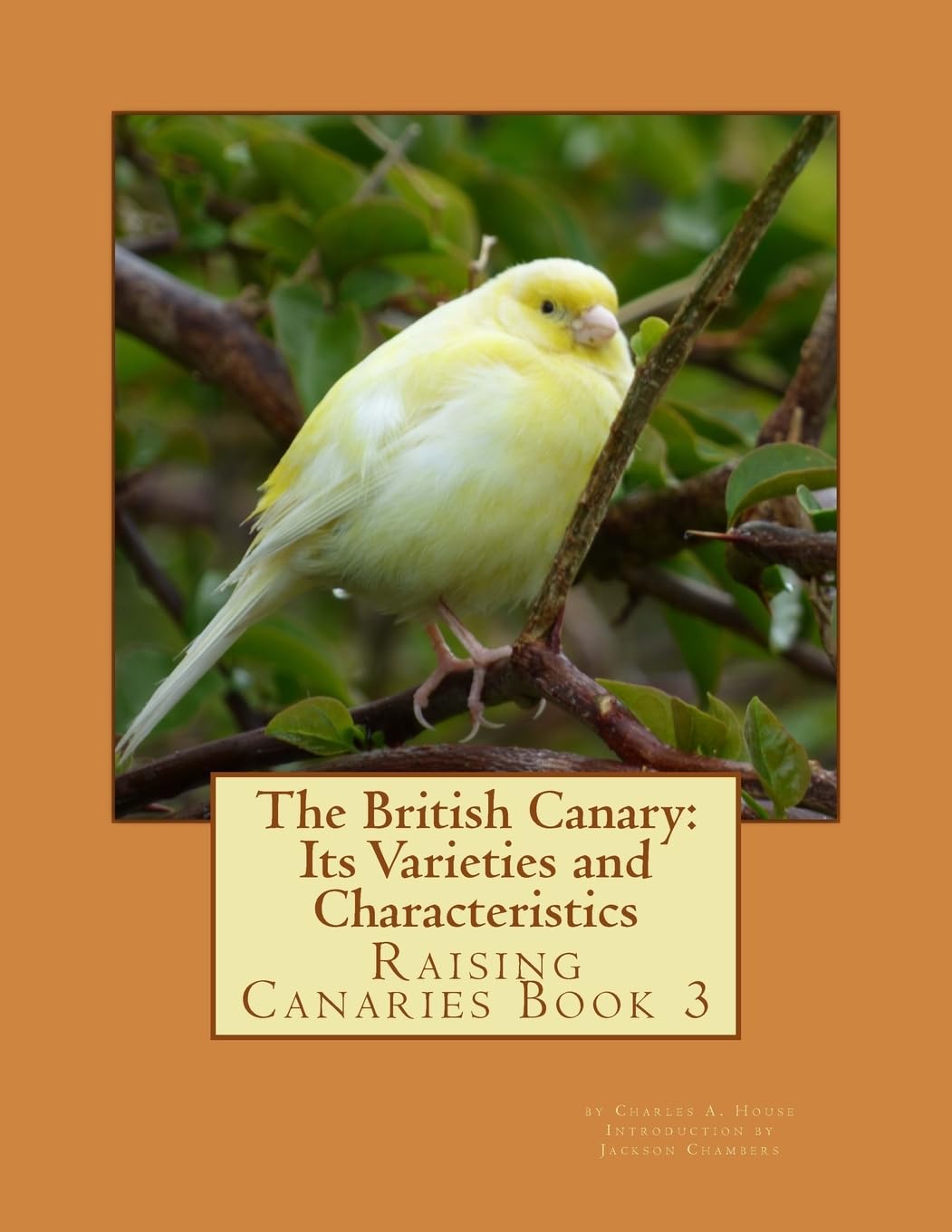 The British Canary: Its Varieties and Characteristics: Raising Canaries Book 3: Volume 3