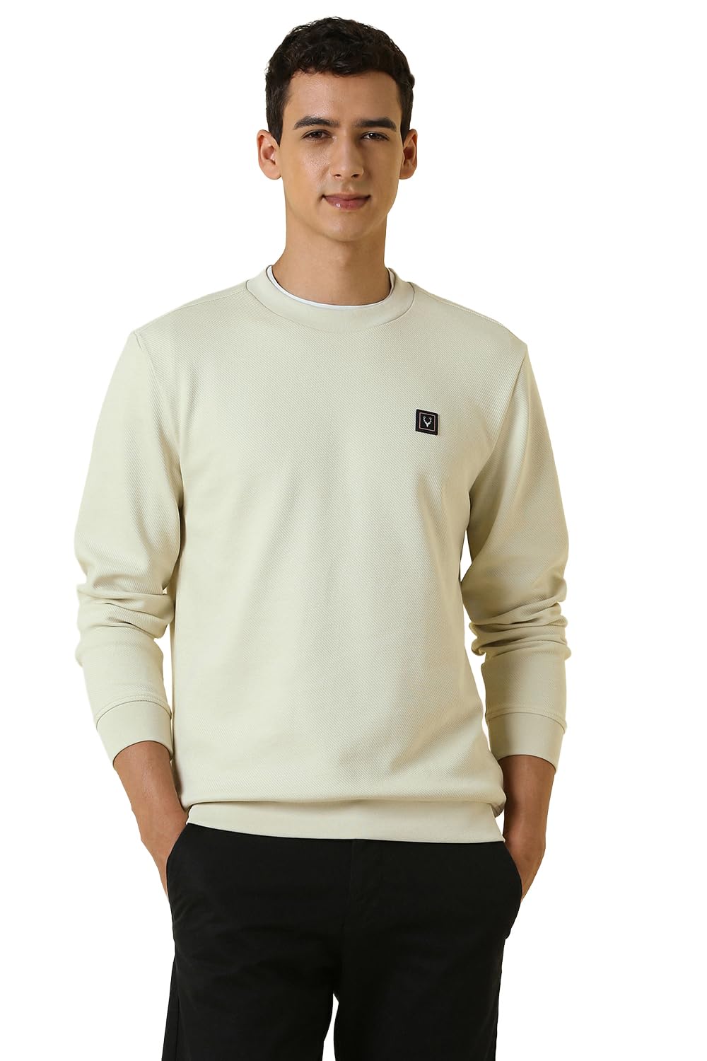 Mens Sweatshirt-image-32