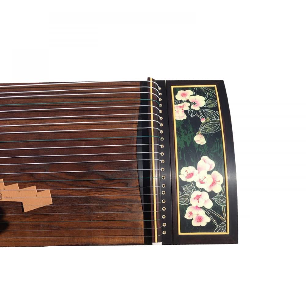 Guzheng-Ebenholz, Das Guzheng-Erwachsenenunterricht Spielt, Guqin Zu Spielen, Geeignet Für Anfänger