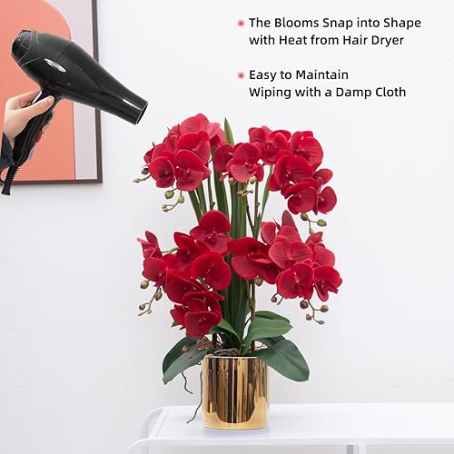 Miniatura 7 de CXGS Plantas de flores de orquídea artificial de tacto real, orquídeas falsas en jarrón de cerámica, orquídea Phalaenopsis roja de 20.9'', arreglo