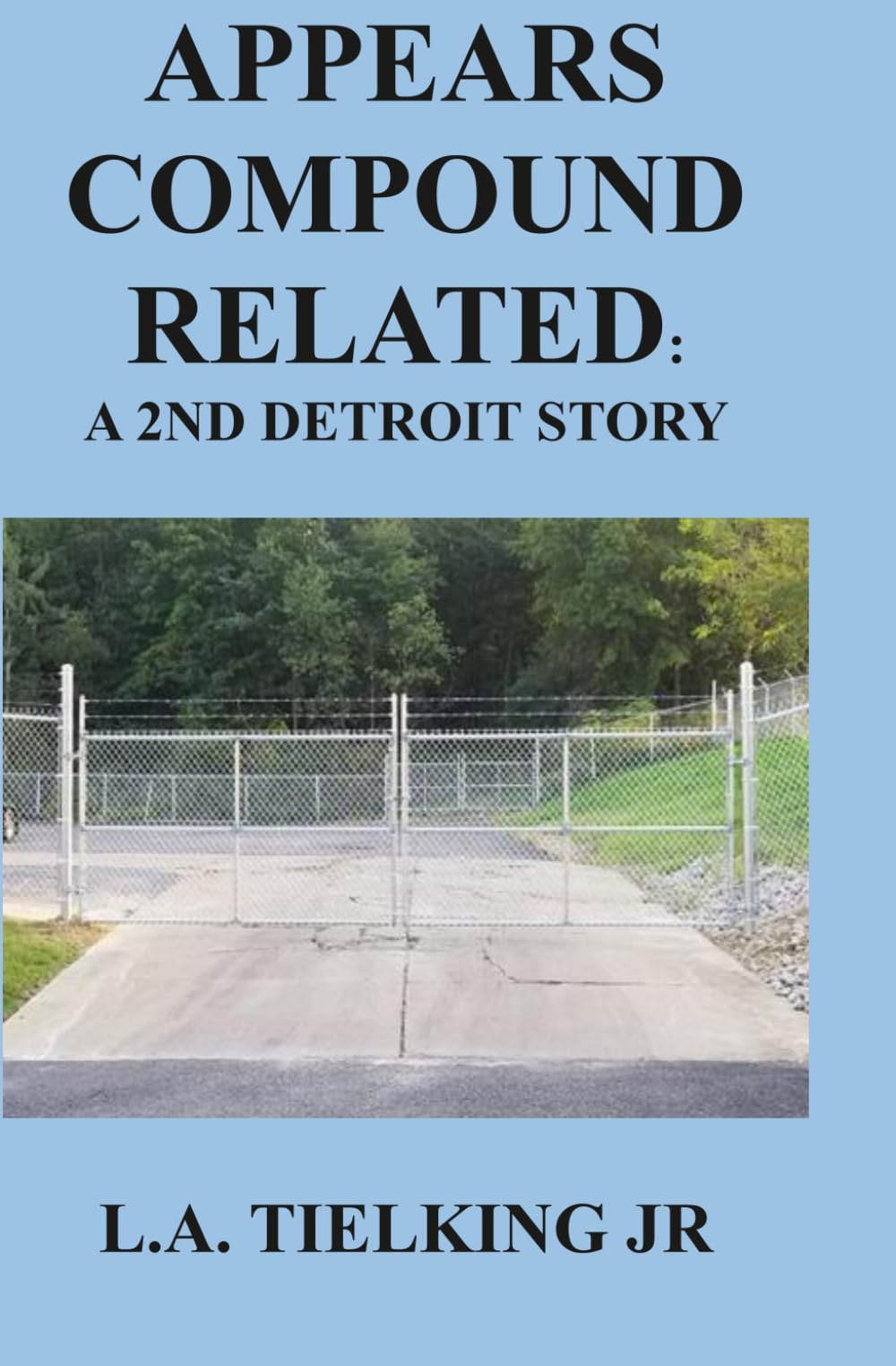 Appears Compound Related: A 2nd Detroit Story (APPEARS GANG RELATED: A DETROIT STORY)