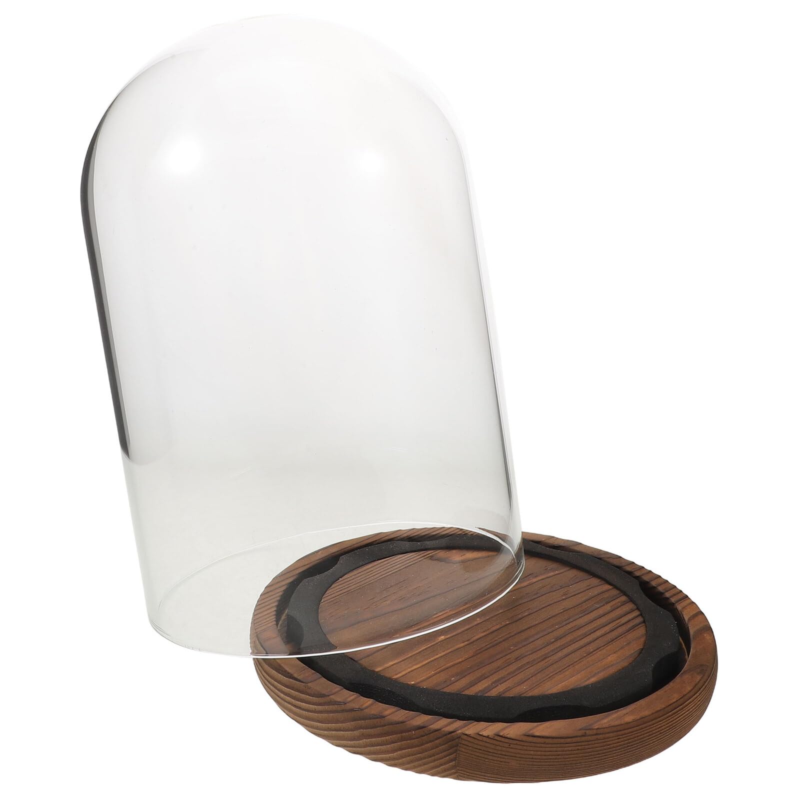 Cloche de présentation en verre avec socle en bois dôme anti-poussière