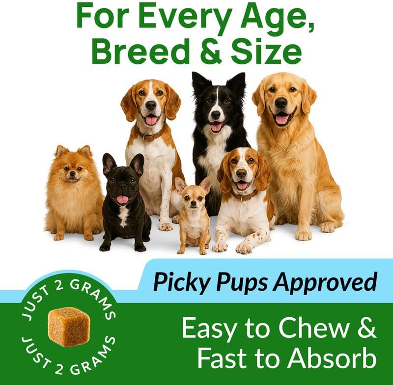 PAWFECTCHEW Green Grass Dog Chews with Probiotics – Lawn Burn Support – Dog Urine Neutralizer for Grass – Pee Spot Control – Gut & Urinary Health – 240Ct