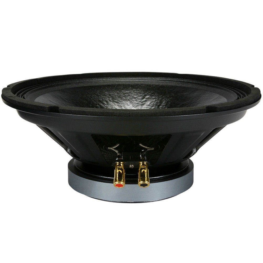 Pyle 1 WOOFER PPA10 PPA 10 Altavoz 25,00 cm 250 mm 10" diametro 300 vatios rms y 600 vatios MAX impedancia 8 ohmios para Fiestas casa, 1 Pieza