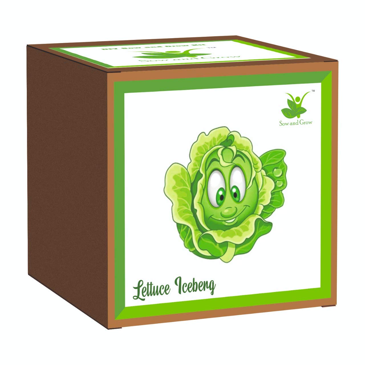 Sow and Grow DIY Seed Starter Gardening Grow Kit of Lettuce Iceberg for Home and Garden Grow it Yourself Kit | Best Eco Friendly Kids Birthday Return Gift-image-34