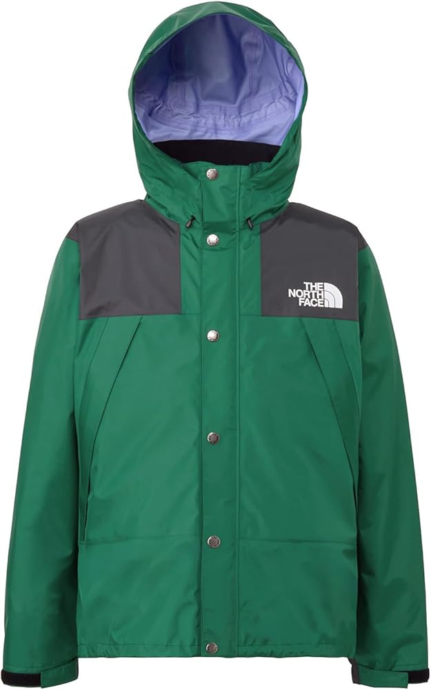 ゴアテックス ノースフェイス マウンテンレインテックス ジャケット グリーン L THE NORTH FACE ノースフェイス ゴアテックス マウンテン ジャケット