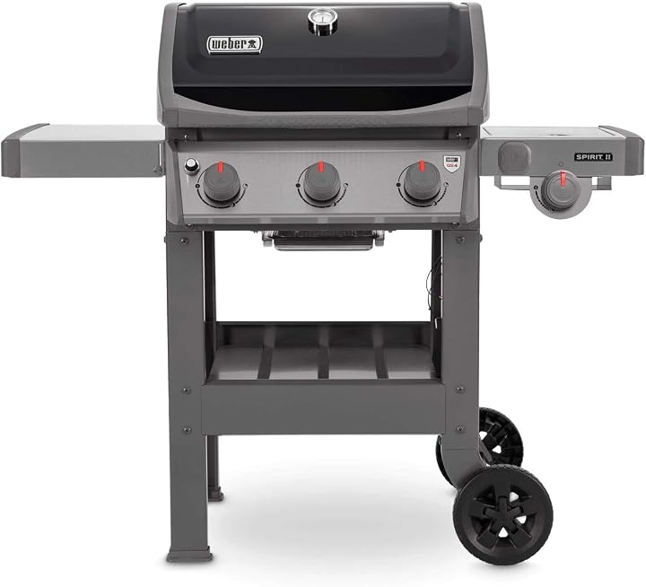 Barbecue weber barbecue spirit ii e-320 251921