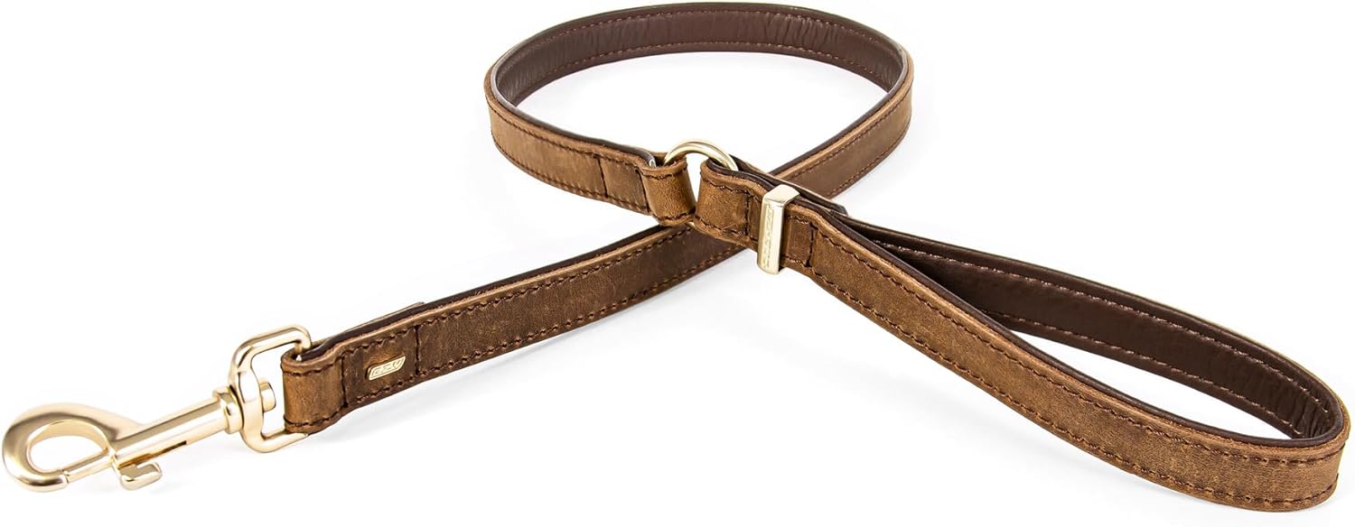 EzyDog Oxford Leather Dog Leash – Full Grain Leather with PU Backing, Durable Brushed Metal Hardware & Stainless O-Ring – 40" Classic Leash for Dogs, Black
