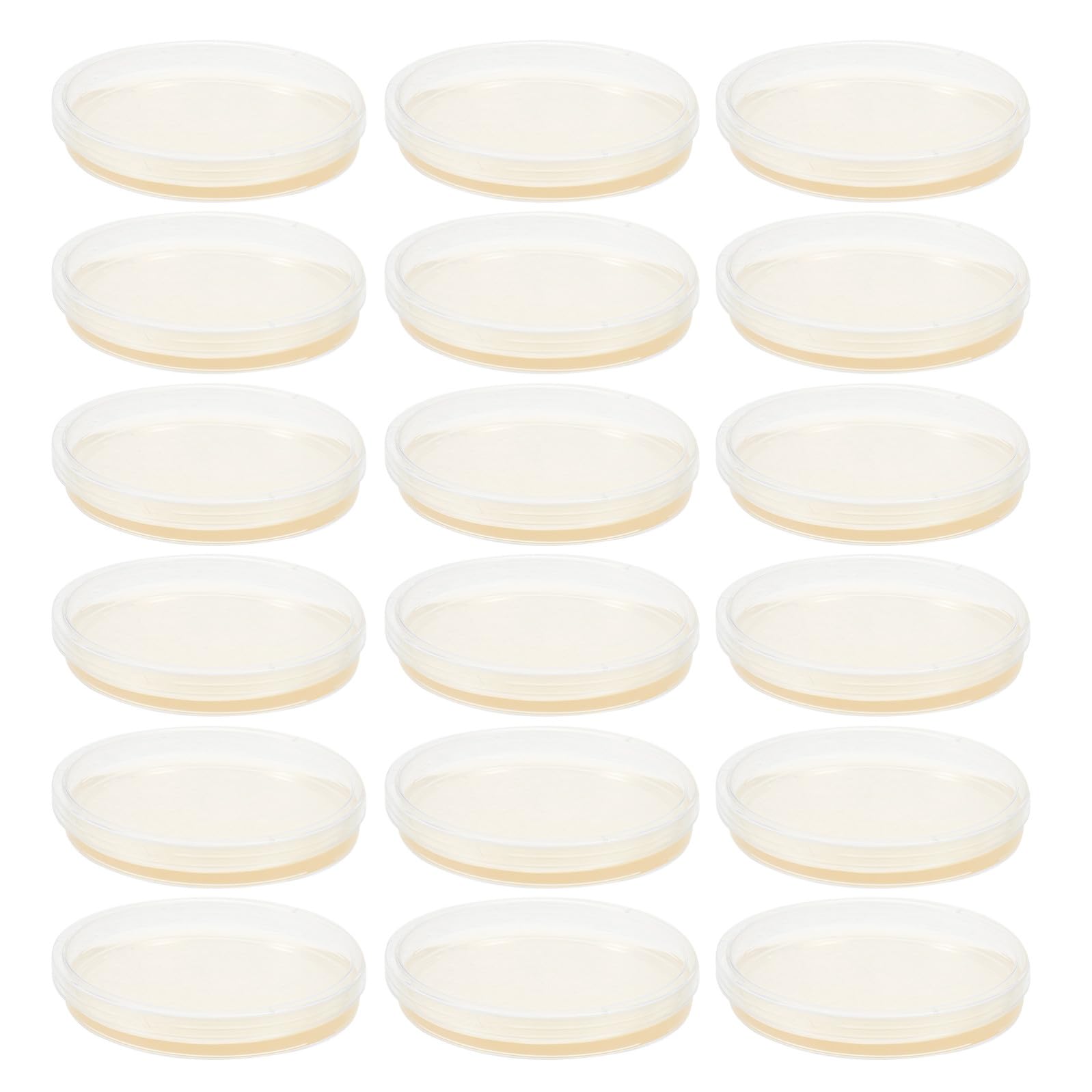 20 Pezzi Piastre di Petri Rotonde in Plastica Agar Nutritivo da 9 Cm, Coperchi Ermetici per Crescita Stabile, per Esperimenti Scientifici in Laboratorio