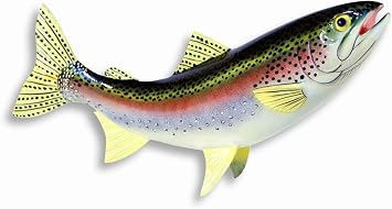 LX Handpainted Rainbow Trout Statue Game Fish Replica 18"