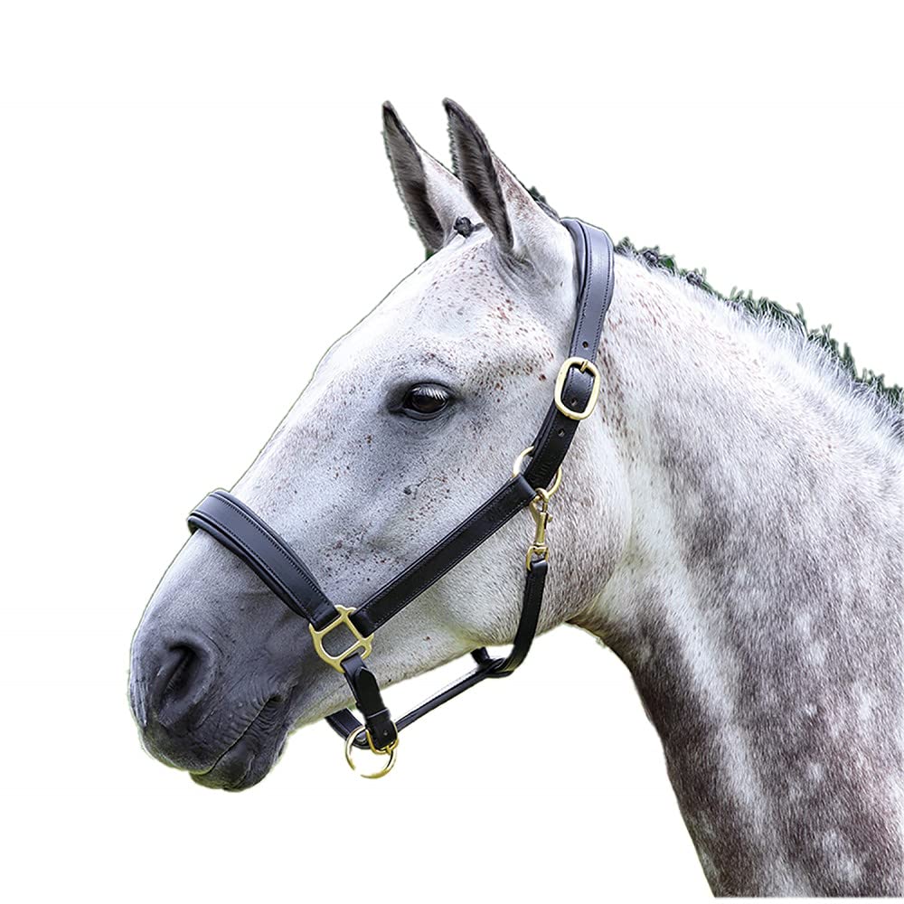 Blenheim Leather Travel Headcollar: Black: Full