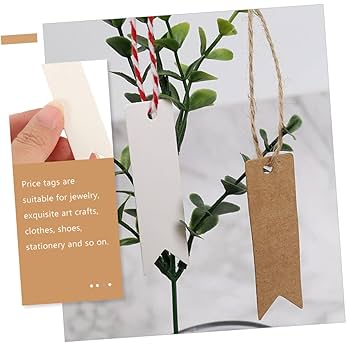 Amazon | NOLITOY クラフトタグ 値札 タグ 提札 無地 200枚