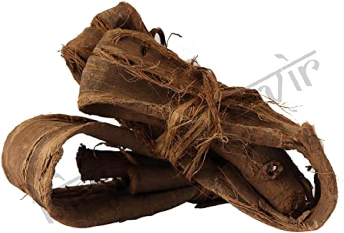 Dandasa 100 Gr - Datoon - Juglans - Walnut Tree Peel (Helps in Teeth whitening) | FSSAI, GMP, ISO Certified