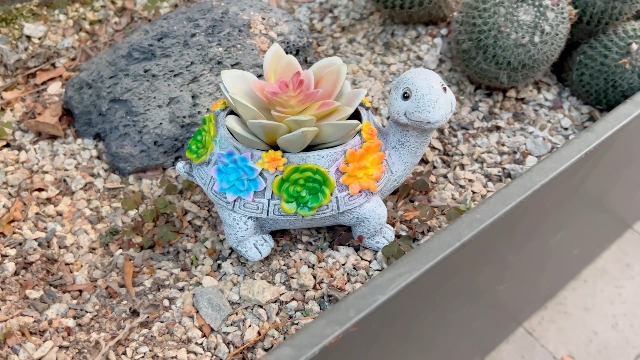 Amazon.com : ASDFG Turtle Succulent Planter, Resin Material, Indoor/Outdoor  Use, Cute Decor, 5.9" x 3.94" x 3.15" : Patio, Lawn & Garden