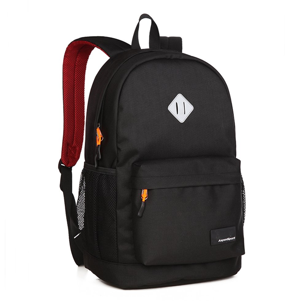 ASPEN: LAPTOP BACKPACK