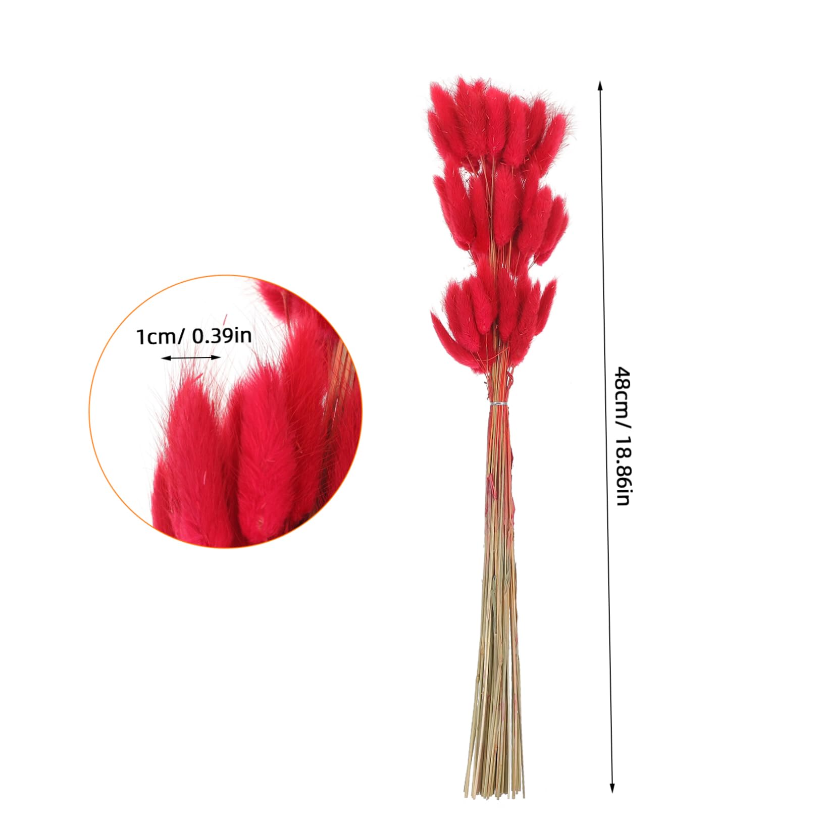 Zerodeko 300stücke Deko Hasenschwänze Getrocknete Blumen Für Hochzeitsarrangements Tischdekoration Badezimmer Und Romantisches Und Farbenfrohes Naturdekor