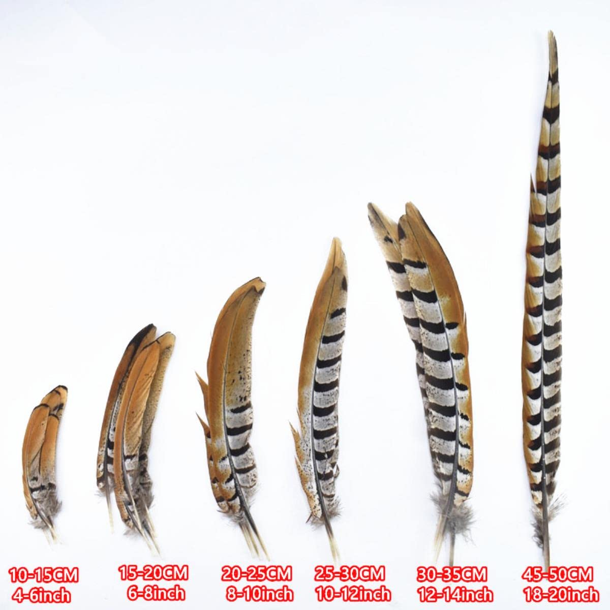 Piume di coda di fagiano lunghe 10-180 cm naturali per artigianato piume di fagiano decorazione accessori di carnevale-160-170 cm 163-172,7 cm, 10 pezzi